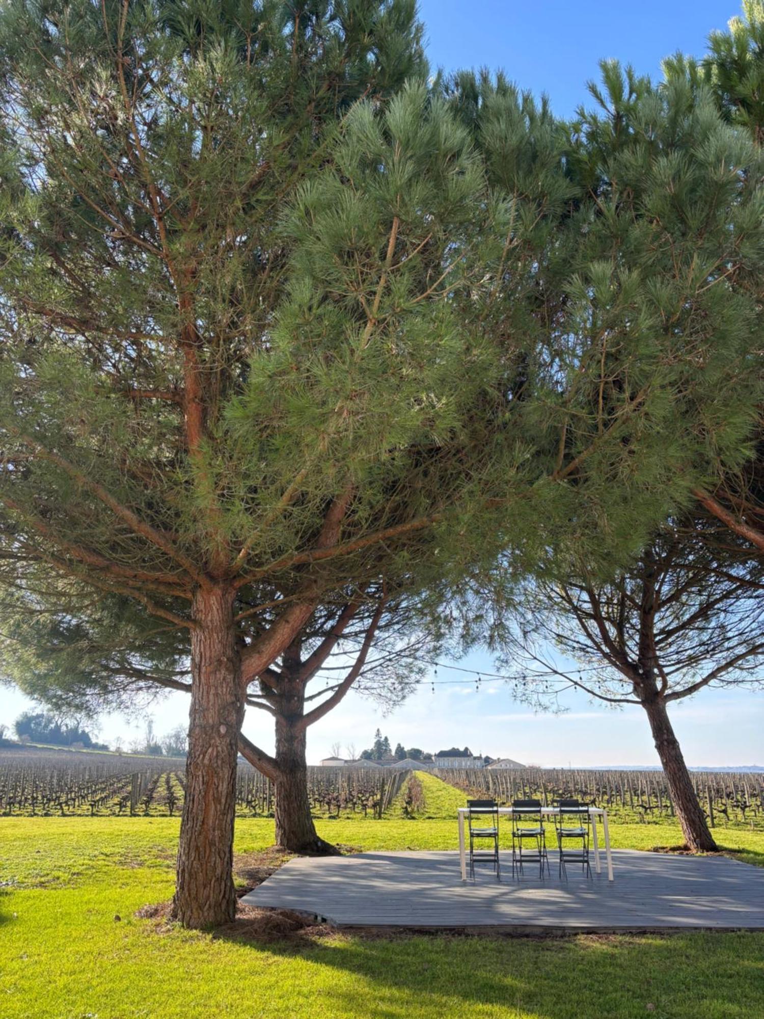 Clos Des Jacobins Bed & Breakfast Saint-Emilion